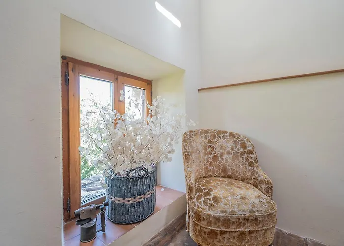 Biendella El Desvan *